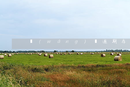 網(wǎng)貸逾期存款會被劃扣嗎