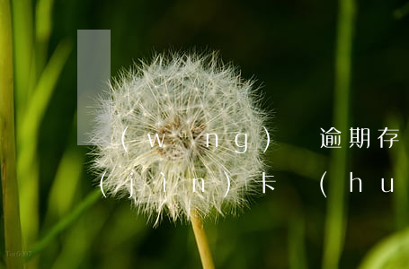 網(wǎng)貸逾期存錢(qián)進(jìn)卡會(huì)怎樣(網(wǎng)貸逾期存錢(qián)進(jìn)卡會(huì)怎樣)