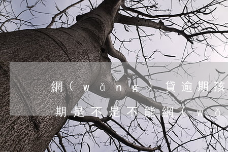 網(wǎng)貸逾期孩子能上戶口嗎(有逾期是不是不能網(wǎng)貸了)