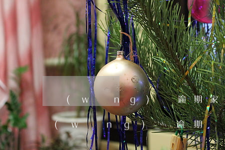 網(wǎng)貸逾期家人用不用還(自己網(wǎng)貸逾期會(huì)連累家人信用不好嗎)