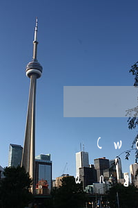 網(wǎng)貸逾期家人的不理解(網(wǎng)貸逾期家屬會怎么樣)