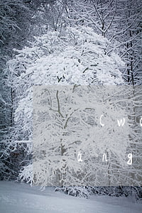 網(wǎng)貸逾期家庭該怎么辦(網(wǎng)貸如果逾期了會怎么樣)