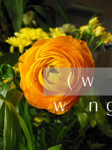 網(wǎng)貸逾期家里沒錢怎么辦(網(wǎng)貸沒有錢還怎么辦)
