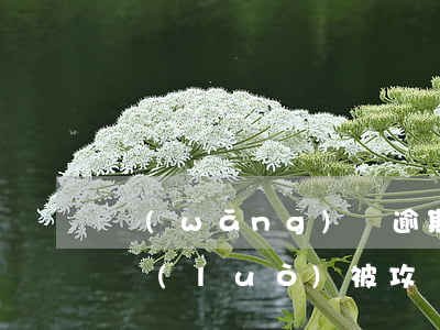 網(wǎng)貸逾期家里網(wǎng)絡(luò)被攻擊(網(wǎng)貸逾期家里網(wǎng)絡(luò)被攻擊)