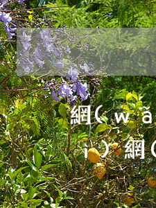 網(wǎng)貸逾期寄信到居委會(huì)(網(wǎng)貸逾期寄信到居委會(huì))