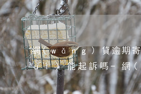 網(wǎng)貸逾期寄函件到村委會(huì)能起訴嗎-網(wǎng)貸逾期了律師函會(huì)直接寄到村委嗎?