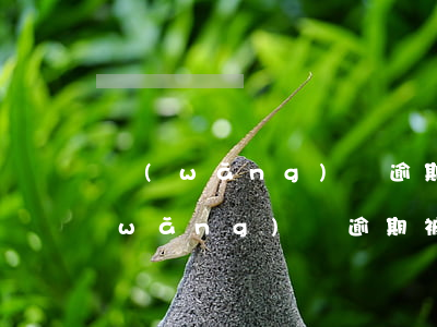 網(wǎng)貸逾期寄律師函到村委(網(wǎng)貸逾期被告知律師函寄到村委怎樣去簽收)