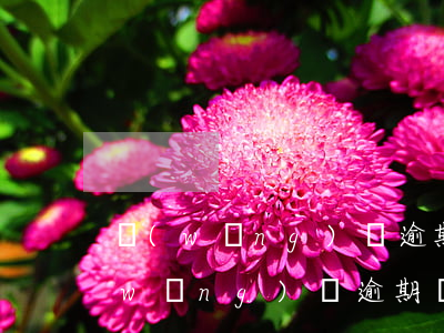 網(wǎng)貸逾期寄律師函違法嗎(網(wǎng)貸逾期發(fā)律師函)