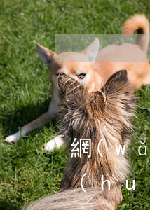 網(wǎng)貸逾期封了銀行卡信用卡會(huì)封嗎-網(wǎng)貸逾期封了銀行卡信用卡會(huì)封嗎安全嗎