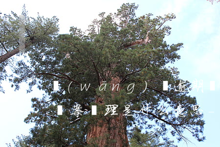 網(wǎng)貸逾期專項(xiàng)備案處理是什么意思-網(wǎng)貸逾期專項(xiàng)備案處理是什么意思啊