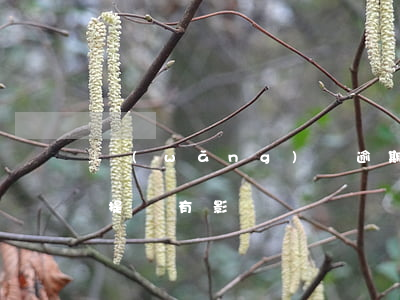 網(wǎng)貸逾期對(duì)信用卡提額有影響嗎