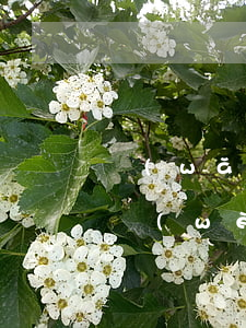 網(wǎng)貸逾期對(duì)征信有問(wèn)題嗎(網(wǎng)貸逾期影響征信怎么辦)