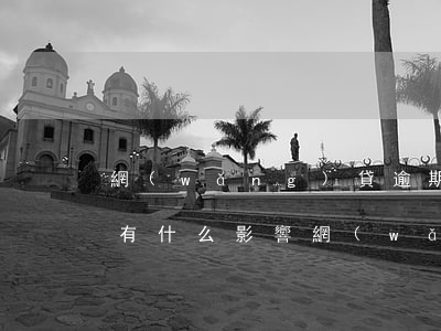 網(wǎng)貸逾期對(duì)支付寶有什么影響（網(wǎng)貸逾期對(duì)支付寶有什么影響）