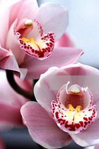 網(wǎng)貸逾期對(duì)方凍結(jié)銀行卡(拖欠網(wǎng)貸會(huì)凍結(jié)銀行卡嗎)