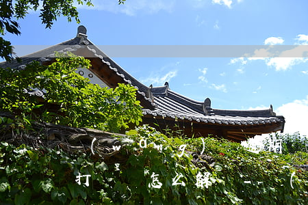 網(wǎng)貸逾期對(duì)方律師打電話怎么解決-網(wǎng)貸逾期對(duì)方律師打電話怎么解決呢