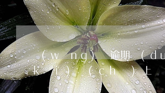 網(wǎng)貸逾期對(duì)方開(kāi)車(chē)上門(mén)(網(wǎng)貸逾期有人找上門(mén)怎么辦)