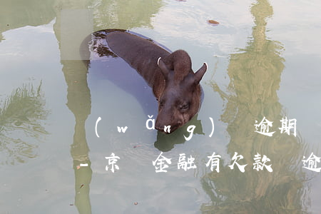 網(wǎng)貸逾期對京東金融有影響嗎-京東金融有欠款,沒逾期,貸款有影響嗎?
