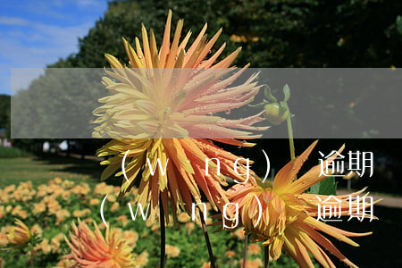 網(wǎng)貸逾期對家人影響嗎(自己網(wǎng)貸逾期會連累家人信用不好嗎)
