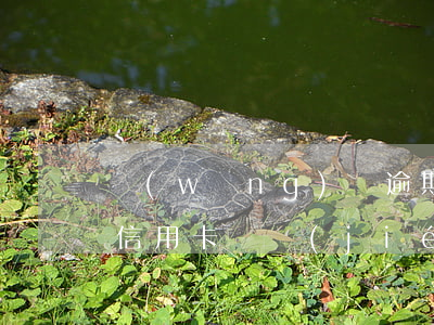 網(wǎng)貸逾期導(dǎo)致建行信用卡凍結(jié)還清能解凍嗎（網(wǎng)貸逾期導(dǎo)致建行信用卡凍結(jié)）