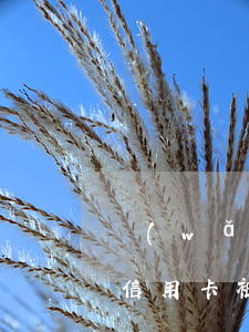 網(wǎng)貸逾期導(dǎo)致建行信用卡被凍結(jié)(網(wǎng)貸逾期凍結(jié)了信用卡)
