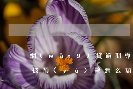 網(wǎng)貸逾期導(dǎo)致房貸被預(yù)警怎么辦