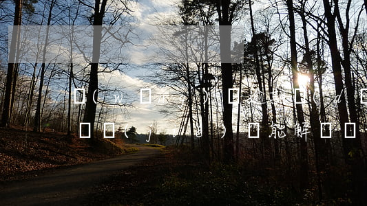 網(wǎng)貸逾期導(dǎo)致花唄凍結(jié)還能解凍嗎-網(wǎng)貸逾期導(dǎo)致花唄凍結(jié)還能解凍嗎怎么辦