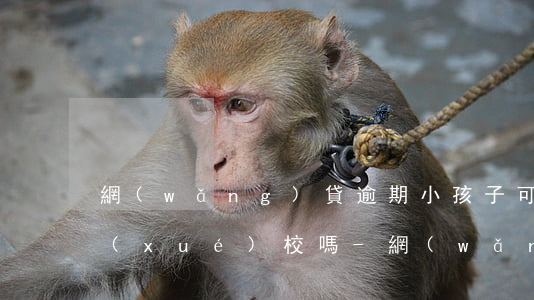 網(wǎng)貸逾期小孩子可以讀公立學(xué)校嗎-網(wǎng)貸欠多少會坐牢