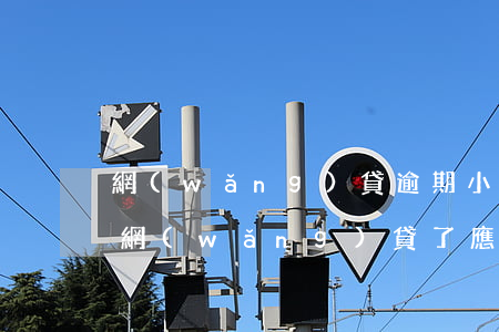 網(wǎng)貸逾期小孩讀書怎么辦(孩子網(wǎng)貸了應(yīng)該怎么辦)