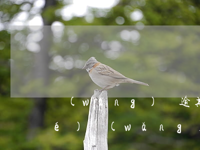 網(wǎng)貸逾期小說最新章節(jié)(網(wǎng)貸馬上要全面逾期了)