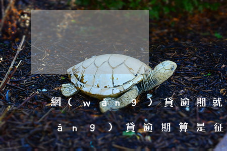 網(wǎng)貸逾期就屬于黑戶嗎(網(wǎng)貸逾期算是征信黑戶嗎)