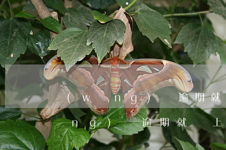 網(wǎng)貸逾期就會上征信嗎(網(wǎng)貸逾期就會上征信嗎)
