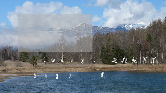 網(wǎng)貸逾期就算黑戶了嗎(網(wǎng)貸會黑戶嗎)
