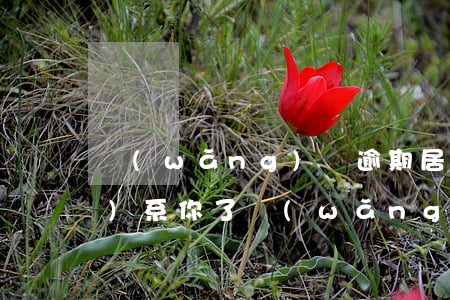 網(wǎng)貸逾期居委會聯(lián)系你了(網(wǎng)貸逾期威脅聯(lián)系村委會上門)