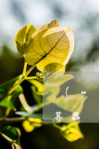 網(wǎng)貸逾期履行利息計(jì)算器