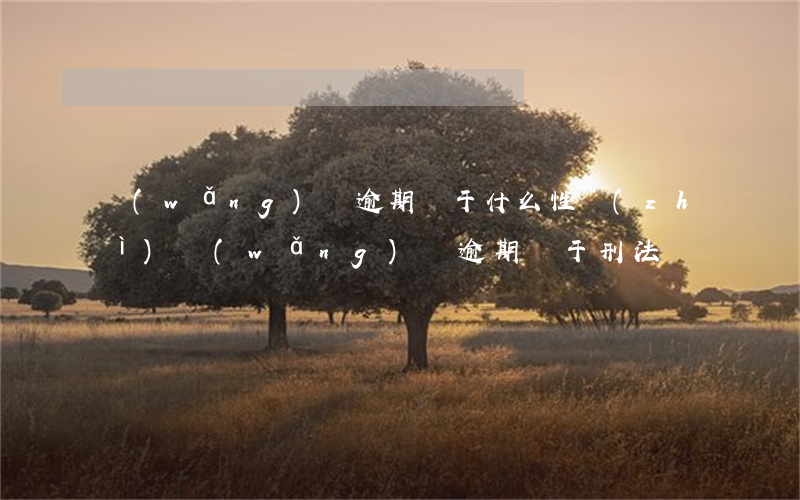 網(wǎng)貸逾期屬于什么性質(zhì)(網(wǎng)貸逾期屬于刑法嗎)