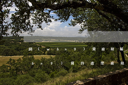 網(wǎng)貸逾期屬于什么案件（網(wǎng)貸的處理逾期是指）