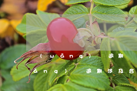 網(wǎng)貸逾期屬于借貸詐騙(網(wǎng)貸逾期涉及合同欺詐嗎)