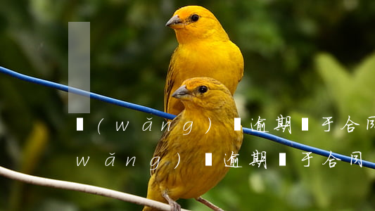 網(wǎng)貸逾期屬于合同詐騙嗎(網(wǎng)貸逾期屬于合同詐騙嗎)