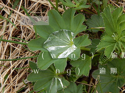網(wǎng)貸逾期工資自動扣款-網(wǎng)貸逾期銀行卡自動扣嗎