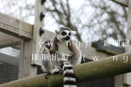網(wǎng)貸逾期已申請(qǐng)排期出庭(網(wǎng)貸逾期庭審)