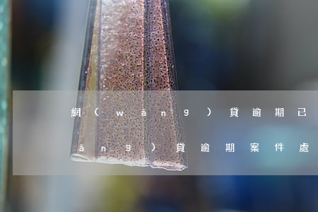 網(wǎng)貸逾期已立案怎么查(網(wǎng)貸逾期案件處理中心)