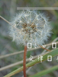 網(wǎng)貸逾期已經(jīng)提交律師事務(wù)所(網(wǎng)貸逾期來了一個律師事務(wù)所的短信)
