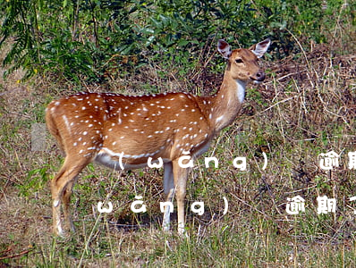 網(wǎng)貸逾期已還影響政審嗎(網(wǎng)貸逾期了對(duì)以后有影響嗎)