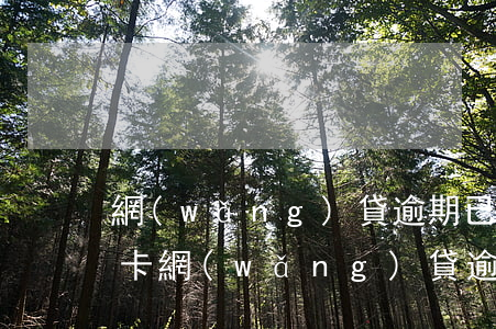 網(wǎng)貸逾期已還款能不能辦信用卡(網(wǎng)貸逾期還可以辦理信用卡嗎)