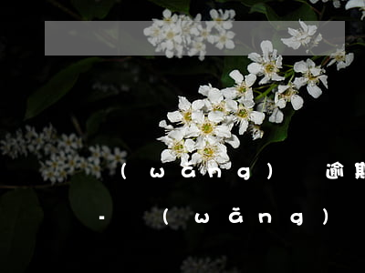 網(wǎng)貸逾期年底起訴是高峰期嗎-網(wǎng)貸逾期多久過起訴期