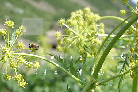 網(wǎng)貸逾期幾個(gè)月被發(fā)律師函嚴(yán)重嗎-網(wǎng)貸逾期幾個(gè)月被發(fā)律師函嚴(yán)重嗎怎么辦