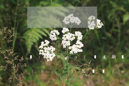 網(wǎng)貸逾期幾個(gè)月還會(huì)怎樣(網(wǎng)貸逾期幾個(gè)月嚴(yán)重嗎)