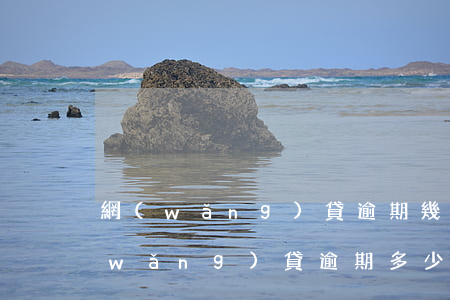 網(wǎng)貸逾期幾個月征信會黑(網(wǎng)貸逾期多少天會上征信黑名單)