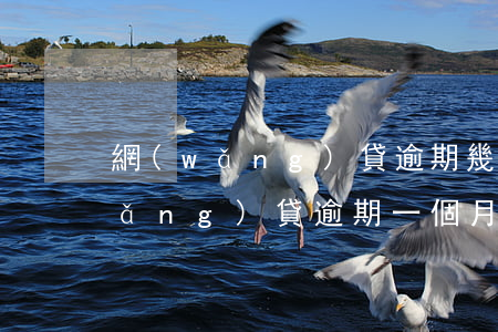 網(wǎng)貸逾期幾個月要緊嗎(網(wǎng)貸逾期一個月嚴重嗎)