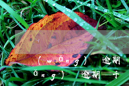 網(wǎng)貸逾期幾千塊會怎樣(網(wǎng)貸逾期幾千塊錢會上門嗎)
